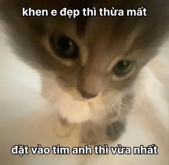 Meme tỏ tình hài hước với thông điệp vui vẻ