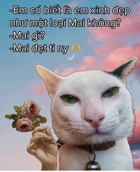 Cute ảnh meme tình yêu dễ thương mang nhiều cảm xúc