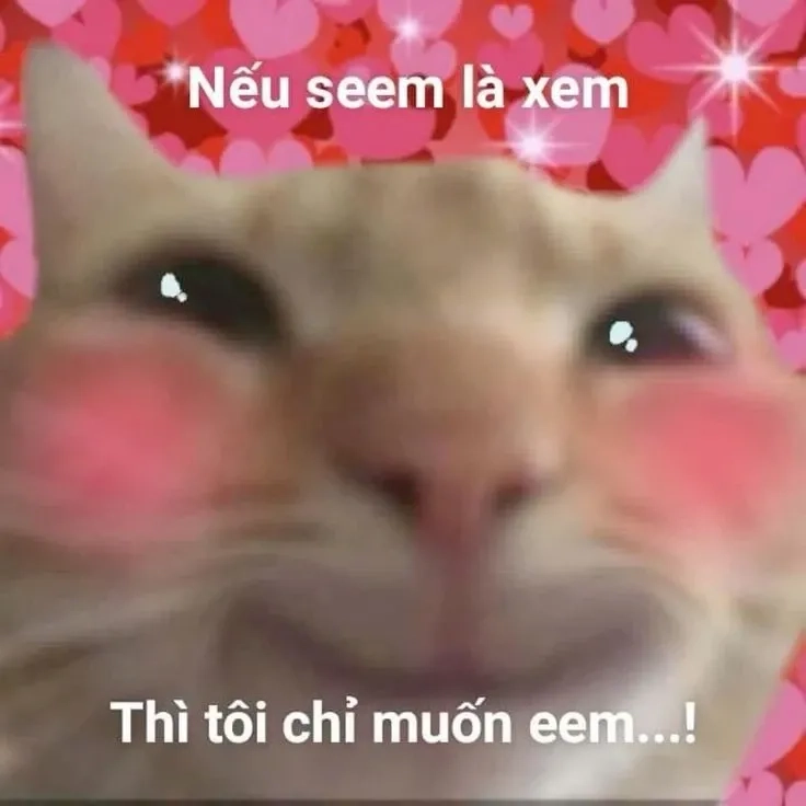 Cute meme tình yêu lãng mạn và ý nghĩa sâu sắc