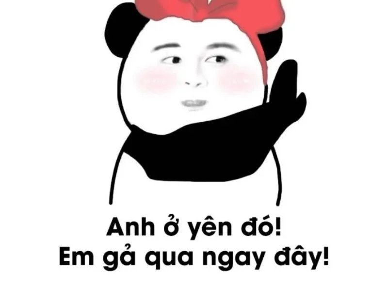 Meme tình yêu hài hước với phong cách dí dỏm