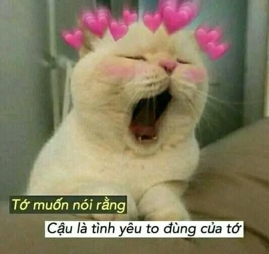 Meme trêu người yêu hài hước và sáng tạo độc đáo