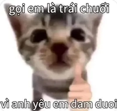 Meme tình yêu to lớn thể hiện cảm xúc chân thành