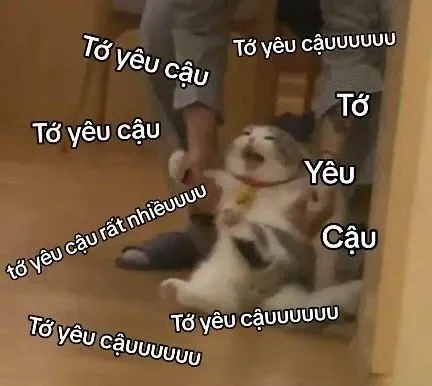 Meme ngồi im tình yêu sẽ đến tạo sự tò mò thú vị