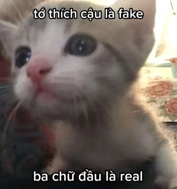 Tình yêu ảnh meme em bé có chữ cực kỳ dễ thương