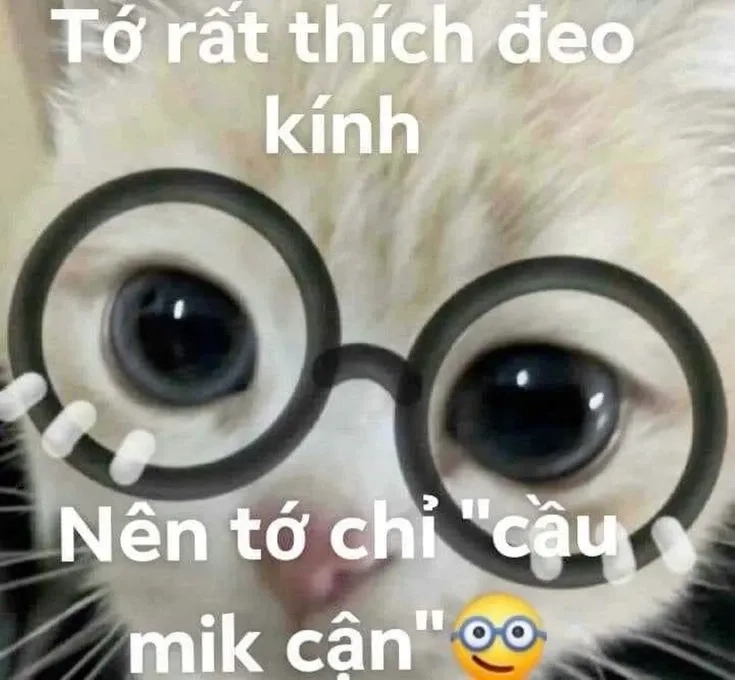 Meme yêu 1 người vô tâm với hình ảnh đầy cảm xúc