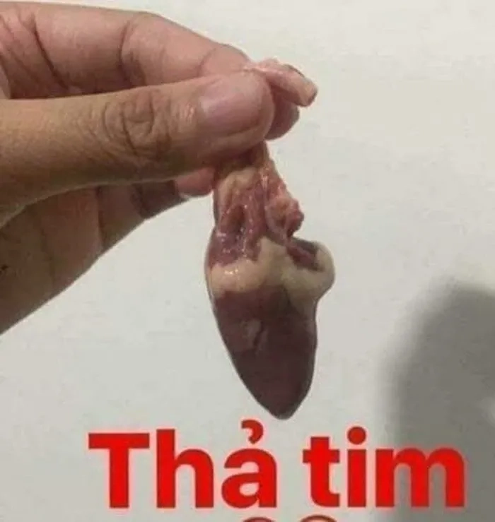 Ảnh bắn tim meme ngộ nghĩnh tạo cảm giác vui nhộn