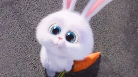 Rabbit meme thỏ hồng nổi bật với phong cách vui nhộn