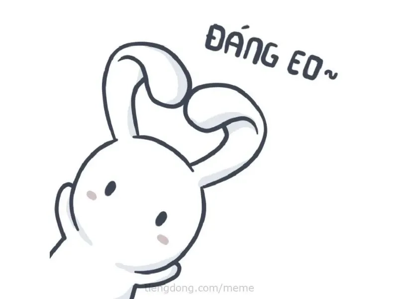 Rabbit meme con thỏ hồng với hình ảnh ngộ nghĩnh