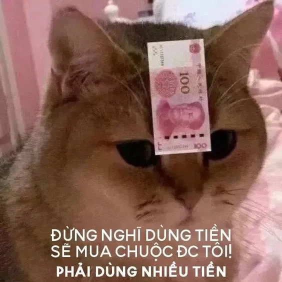 Hết tiền meme sáng tạo với hình ảnh ngộ nghĩnh và độc đáo