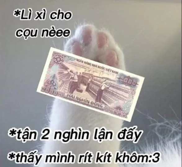 Meme đưa tiền đây hài hước với các tình huống châm biếm sáng tạo