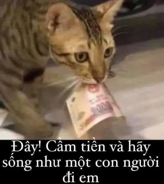 Lấy tiền lau nước mắt meme hài hước với các tình huống sáng tạo