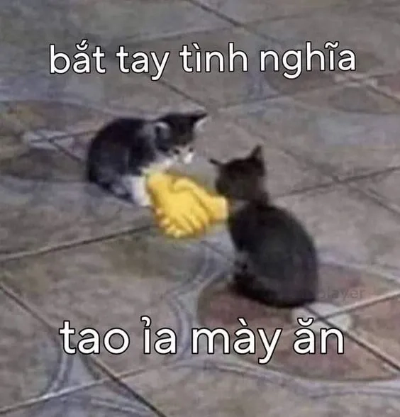 Meme Lịch Sử Việt Nam hài hước và độc đáo dành cho cộng đồng yêu thích