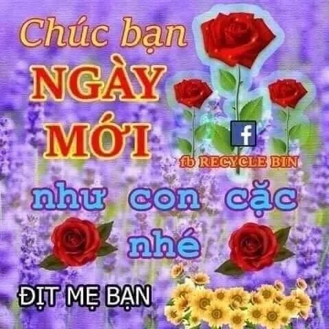 F4 Việt Nam Meme độc đáo và thú vị dành cho fan F4 Việt Nam