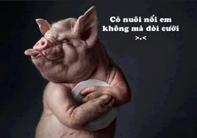 20/10 vui vẻ meme ngộ nghĩnh dành tặng phái đẹp