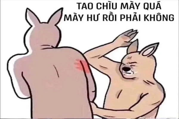 Meme đùa không vui tôi đã căng với biểu cảm siêu độc đáo