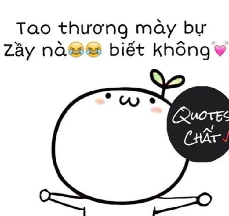 Meme mèo tặng hoa dễ thương và hài hước phù hợp để chia sẻ