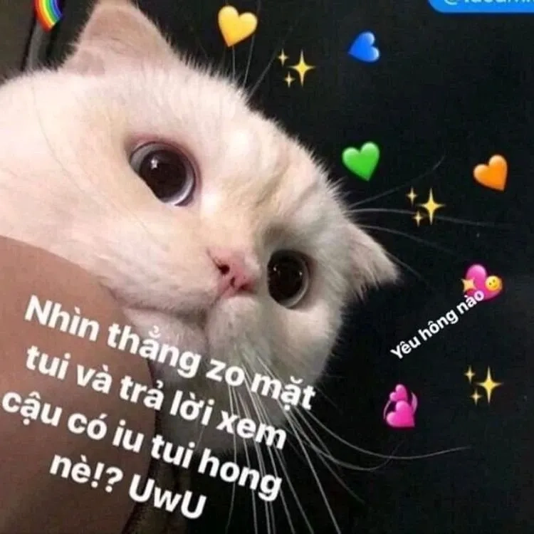 Meme gửi người yêu dễ thương với phong cách sáng tạo