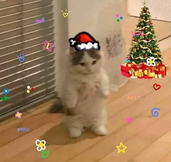 Avatar mèo noel meme dễ thương và phù hợp làm ảnh đại diện