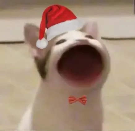 Ảnh meme mèo noel ngộ nghĩnh mang lại niềm vui