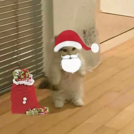 Ảnh noel vô tri meme độc đáo và gây tiếng cười