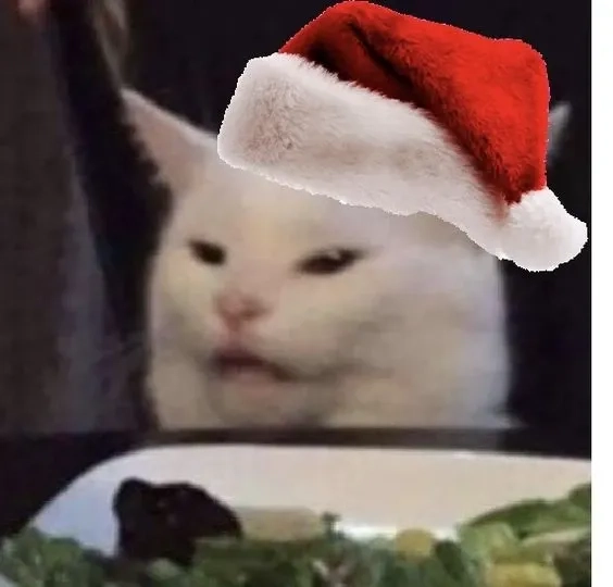 Cat noel meme dễ thương và phù hợp trong các tình huống