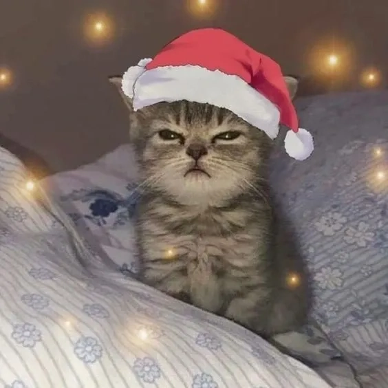 Meme mèo đội mũ noel hài hước và dễ thương