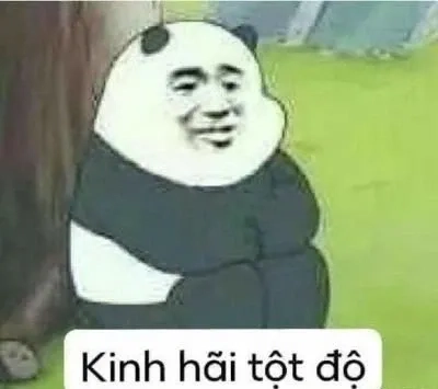 Ngu thì chết meme châm biếm với tình huống hài hước thú vị