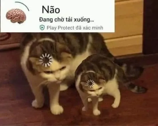 Meme ngu ngục châm biếm nhẹ nhàng với các biểu cảm thú vị