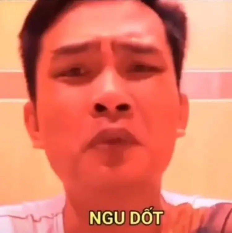 Meme ngu ngốc hài hước với các tình huống độc đáo và sáng tạo