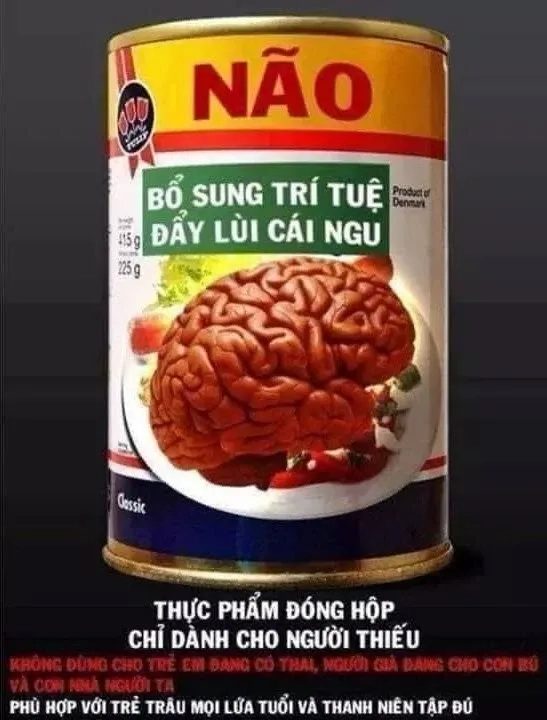 Meme mèo nguy hiểm châm biếm với tình huống sáng tạo thú vị