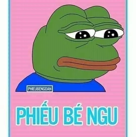 Lườm nguýt meme mèo lườm dễ thương với biểu cảm ngộ nghĩnh