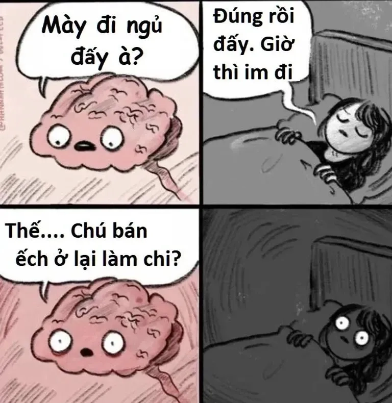 Ảnh meme ngu dốt sáng tạo với các tình huống hài hước độc đáo