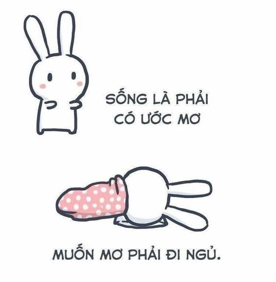 Chúc ngủ ngon meme thú vị và sáng tạo trong mọi hoàn cảnh