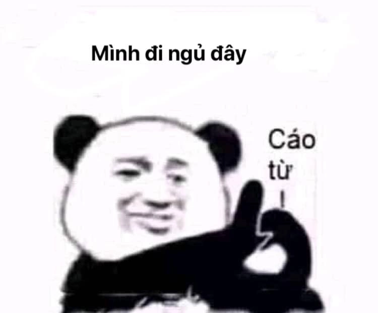 Meme mất ngủ hài hước với biểu cảm ngộ nghĩnh đáng yêu