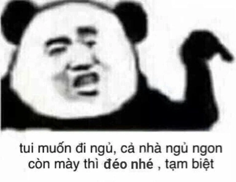 Meme đi ngủ hài hước và ngộ nghĩnh mang lại tiếng cười thú vị