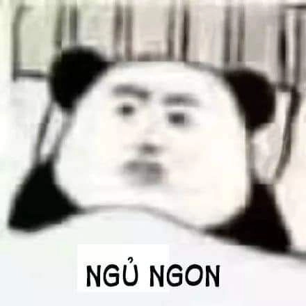 Ảnh chúc ngủ ngon meme hài hước với phong cách độc đáo