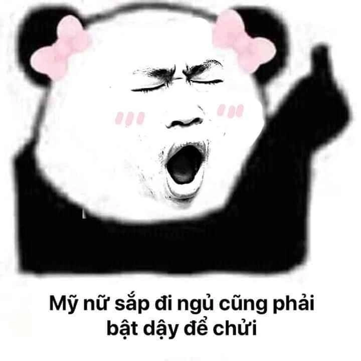 Meme tom buồn ngủ ngộ nghĩnh và thú vị mang lại tiếng cười