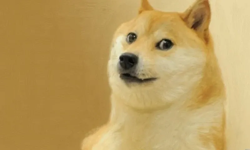 Shiba meme png thú vị và phù hợp để sử dụng làm ảnh minh họa