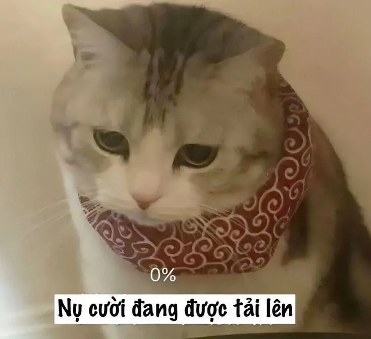 Tôi xin lỗi meme hài hước và phù hợp để chia sẻ cùng bạn bè