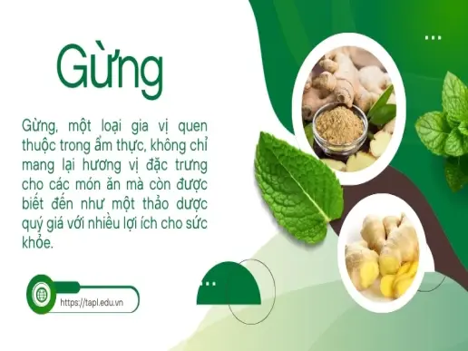 Khám phá các công dụng tuyệt vời của gừng trong ẩm thực