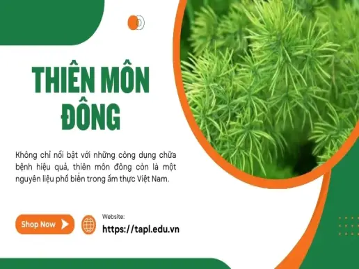 Thiên môn đông - Thần dược chữa bệnh từ thiên nhiên