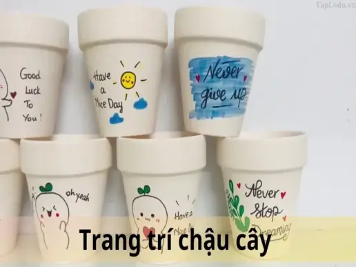 Khám phá ngay 15+ ý tưởng trang trí chậu cây độc đáo, dễ làm tại nhà