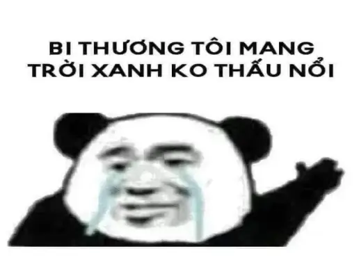 Khám phá bộ ảnh meme gấu hài hước và sáng tạo nhất