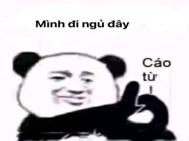 Khám phá bộ ảnh gấu trúc meme hài hước và sáng tạo nhất