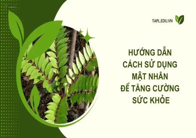 Hướng dẫn cách sử dụng mật nhân để tăng cường sức khỏe