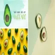 Khám phá hình nền quả bơ siêu cấp dễ thương và độc lạ