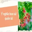 Khám phá ý nghĩa hoa sử quân tử trong đời sống tâm linh
