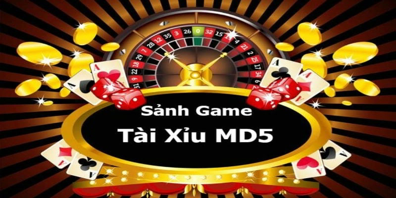 Tổng quan đôi nét về tài xỉu MD5