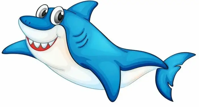 Cá mập con chibi với gương mặt đáng yêu và thiết kế đơn giản
