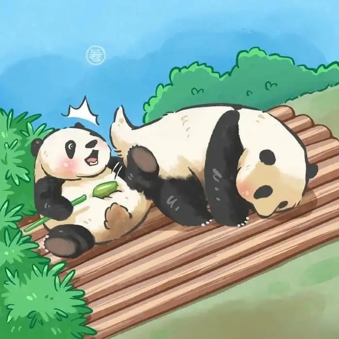 Chibi gấu cute đốn tim người nhìn nhanh chóng
